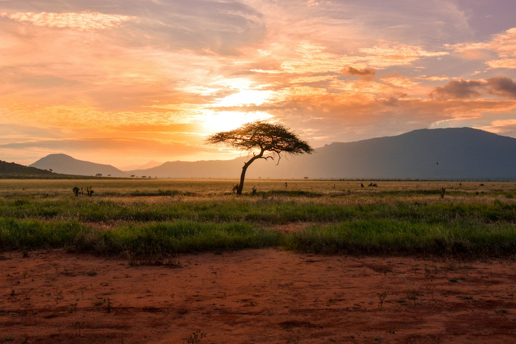 Forêt équatoriale et fleuve Congo - Province de l'Équateur