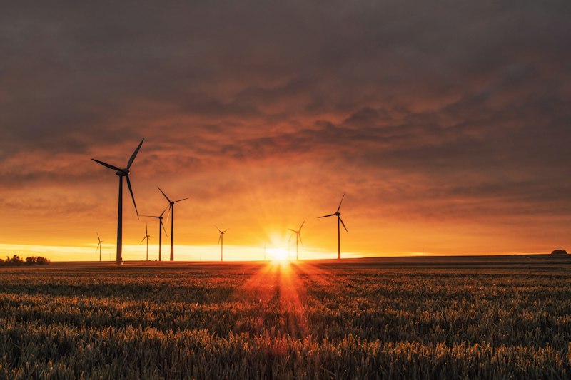 Energie solaire foret